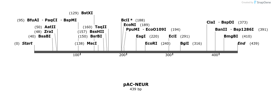 92918_map