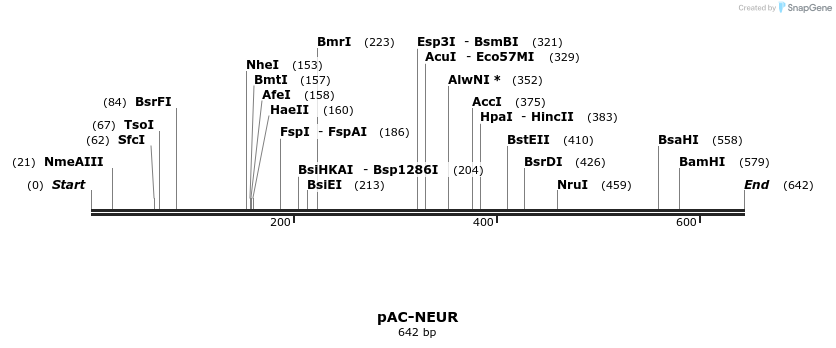 92919_map