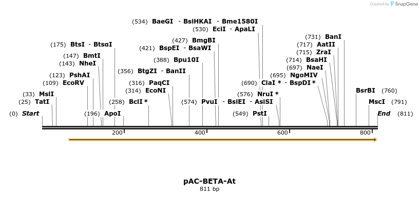 92923_map