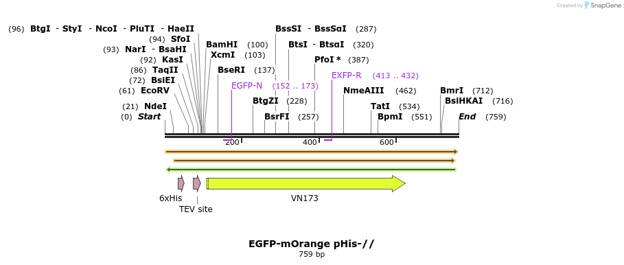 92924_map