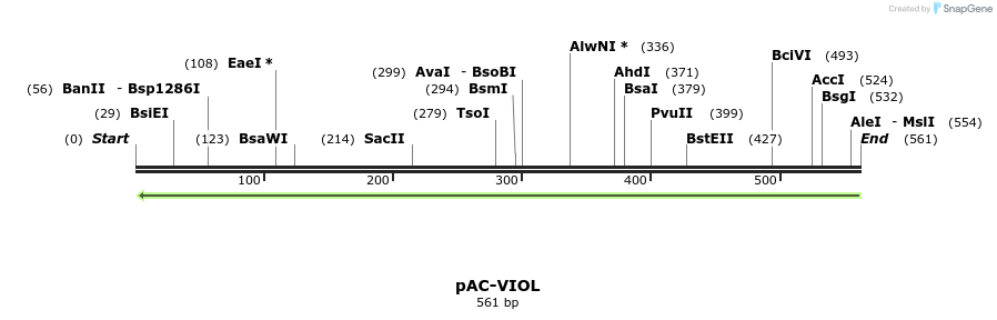 92925_map