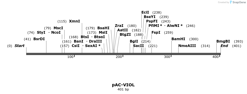 92929_map