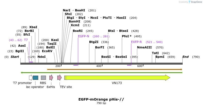 92932_map