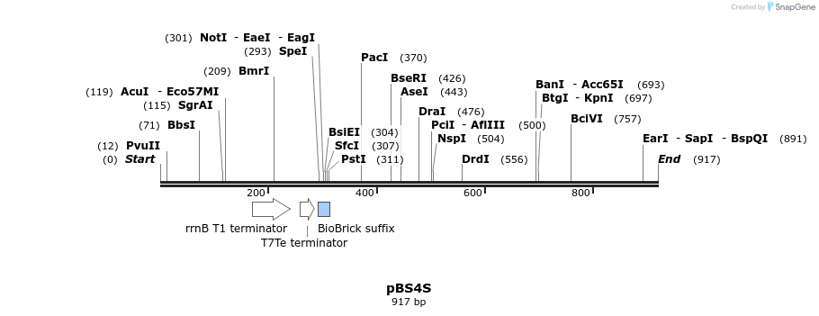 92933_map
