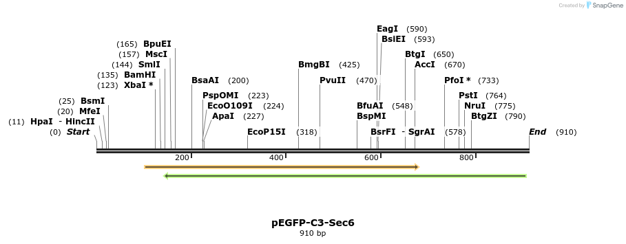 92934_map