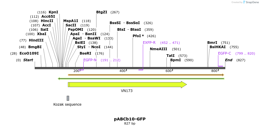 92935_map