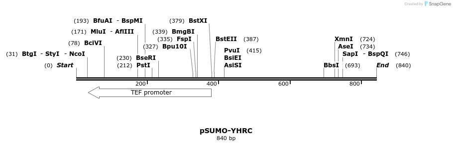 92936_map