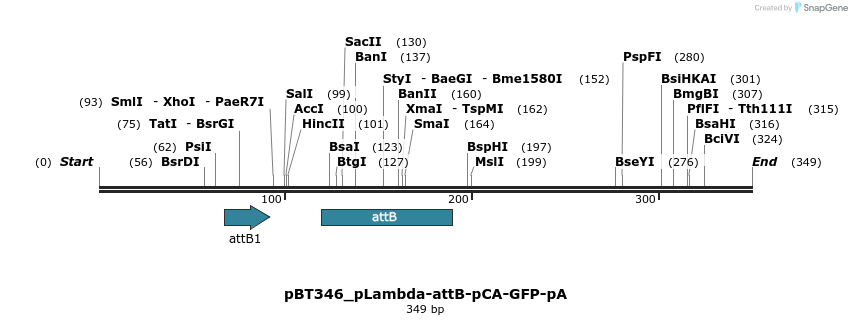 92943_map