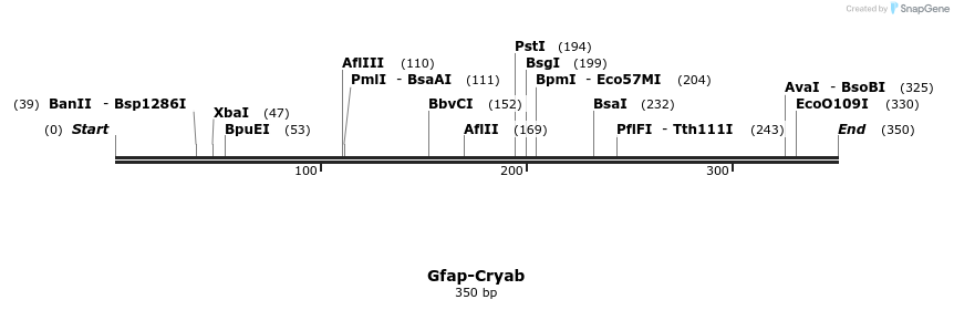 92949_map