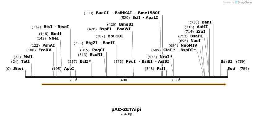 92950_map