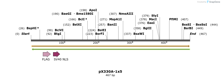 92952_map