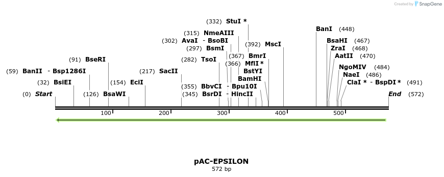 92953_map