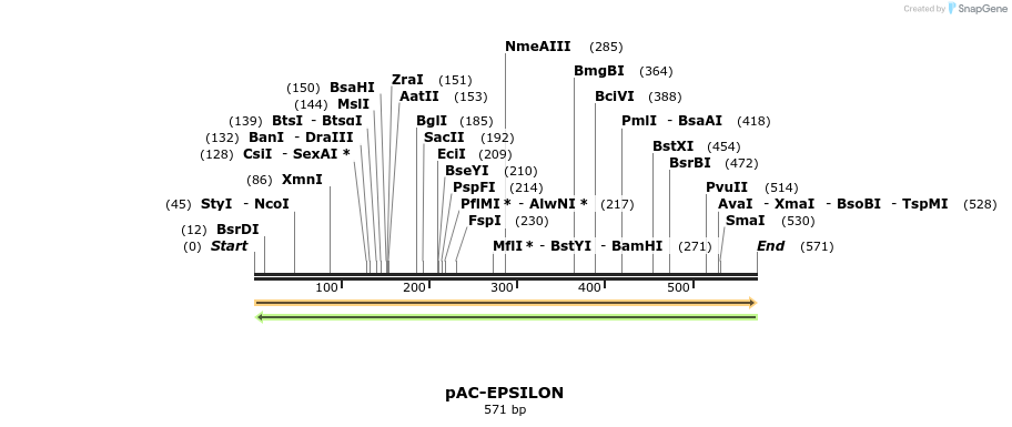 92954_map