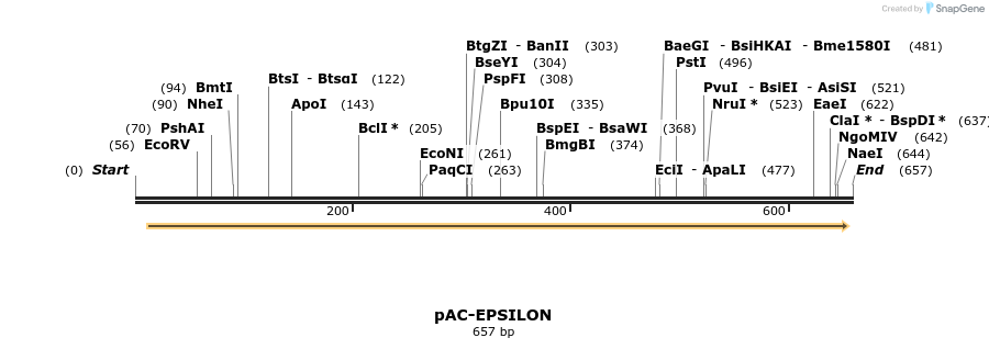 92955_map