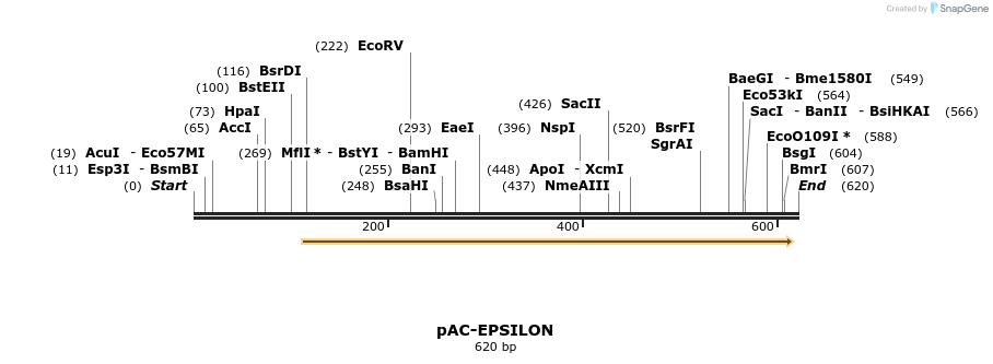 92957_map