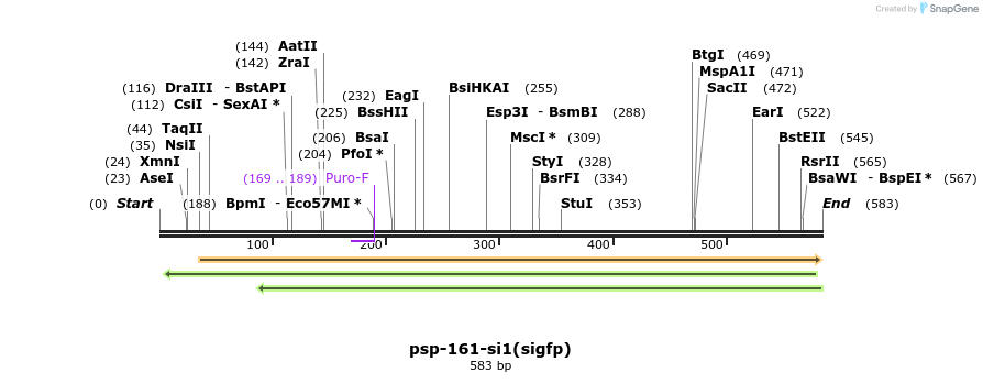 92961_map
