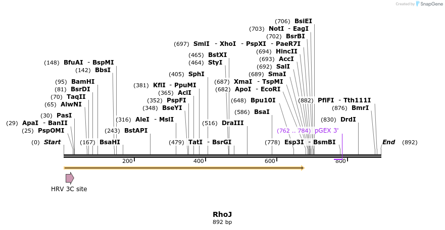 92964_map