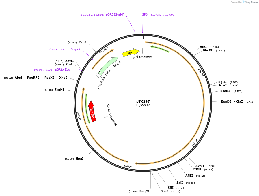 92971_map