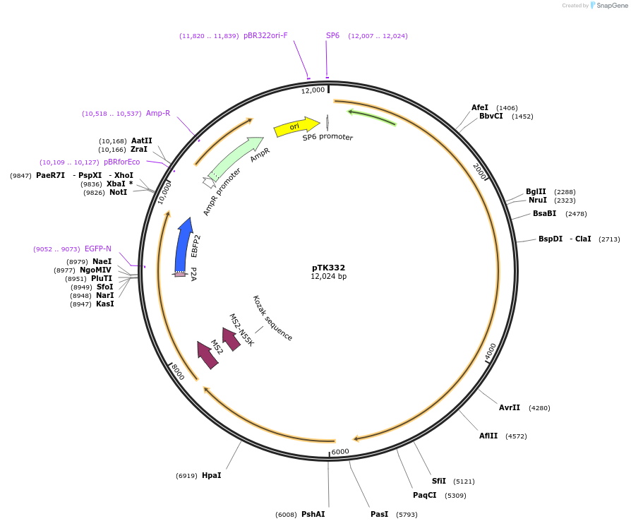 92978_map