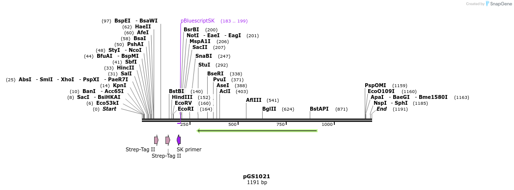 92980_map