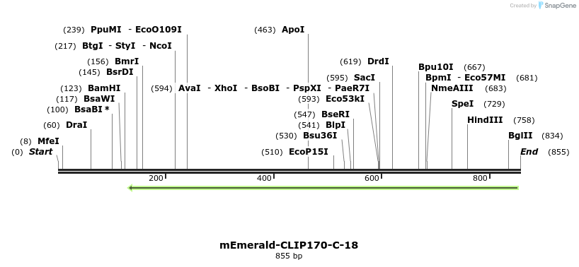 92987_map