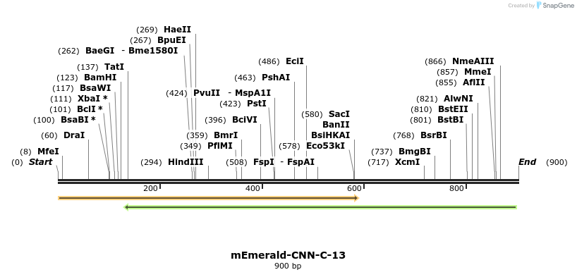 92991_map