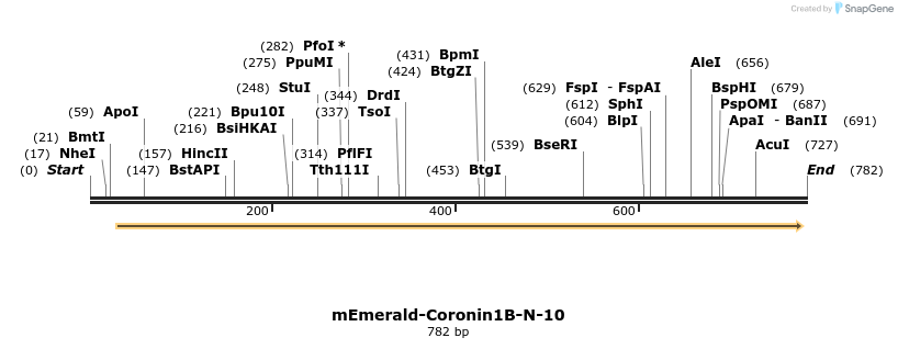 92992_map