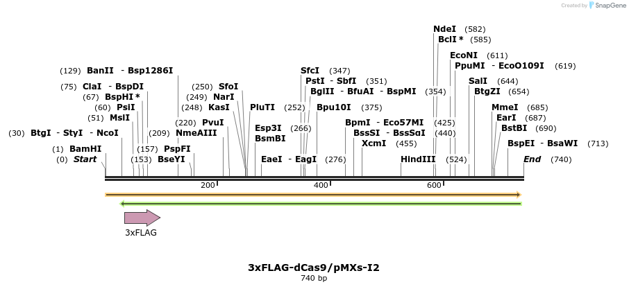 92994_map