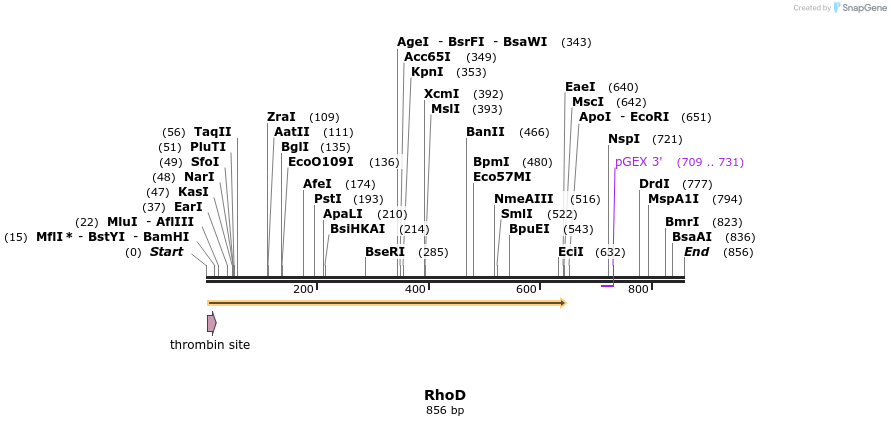 92998_map