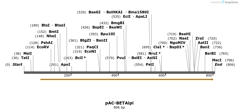 92999_map