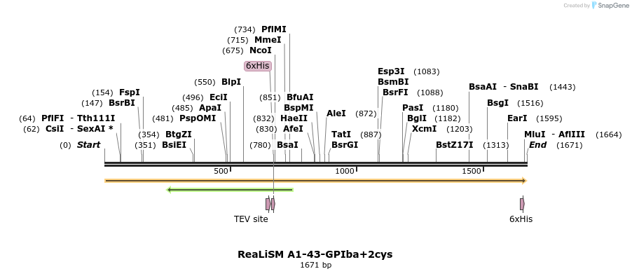93001_map