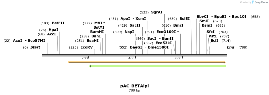 93002_map