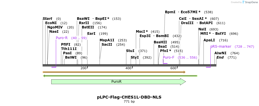 93004_map