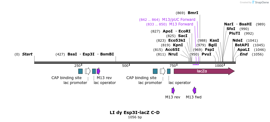 93006_map