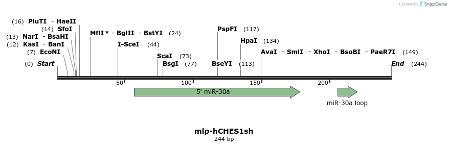 93007_map