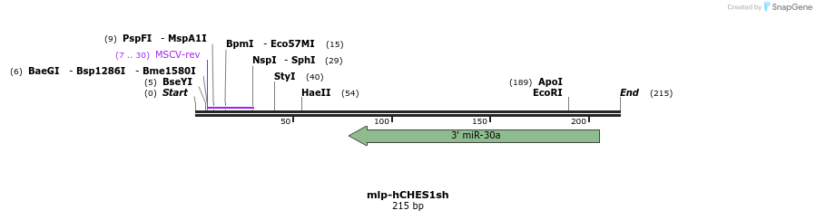 93009_map