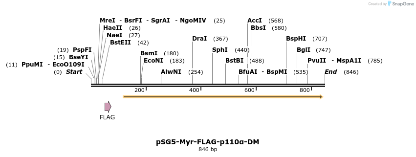 93010_map
