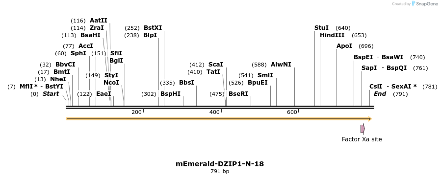 93018_map