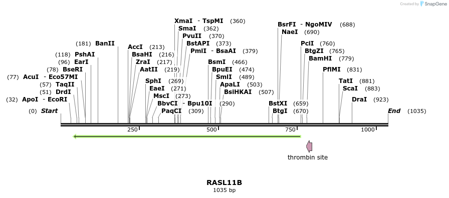 93028_map