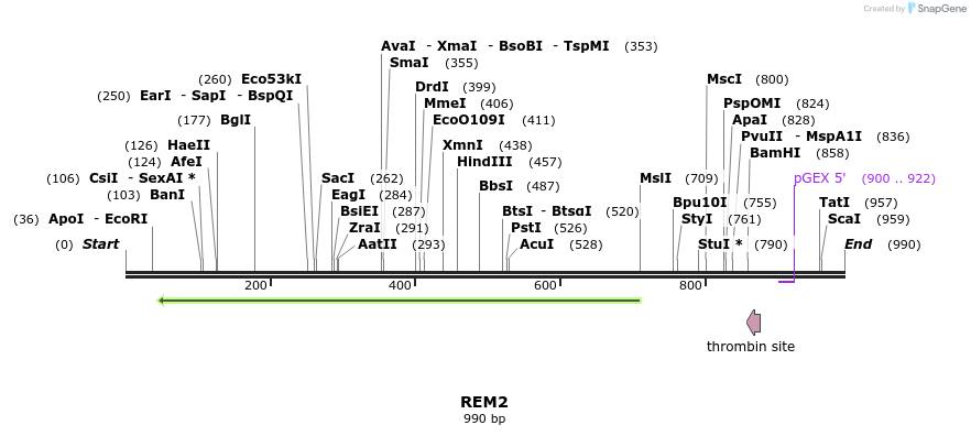 93031_map