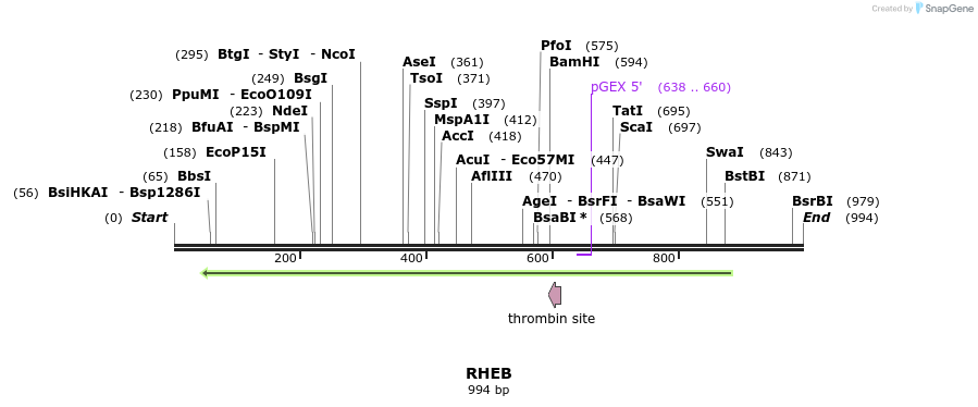93033_map