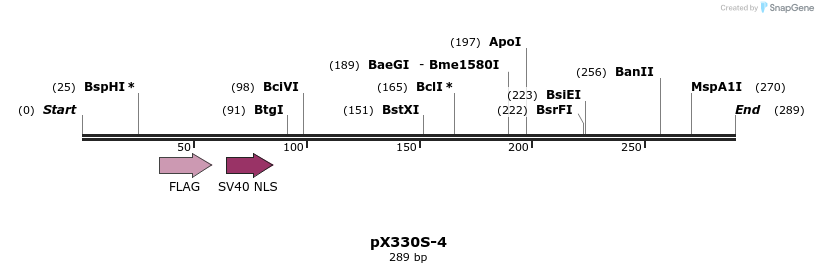 93053_map