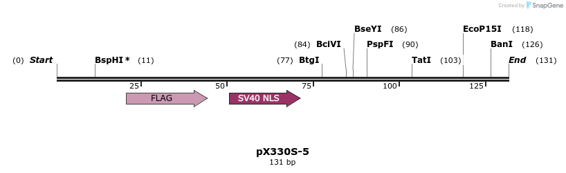 93055_map