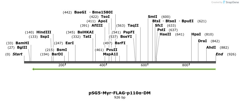 93056_map