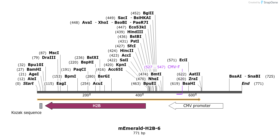 93057_map