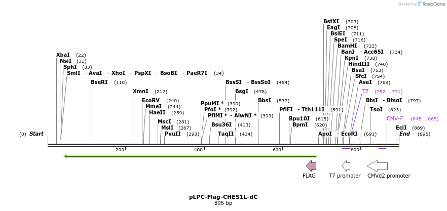 93060_map