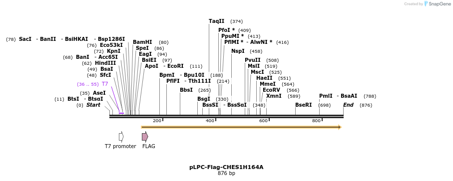 93062_map