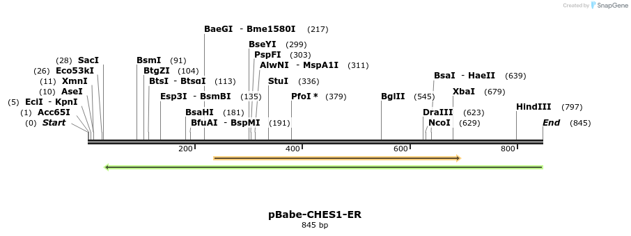 93064_map