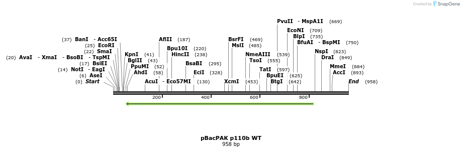93065_map