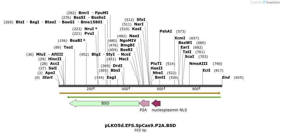 93067_map